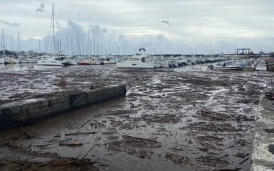 Cyclone Batsirai : l’heure du grand nettoyage sur le port de plaisance de Saint-Pierre