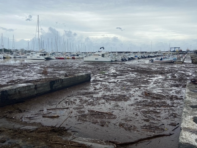 Cyclone Batsirai : l’heure du grand nettoyage sur le port de plaisance de Saint-Pierre